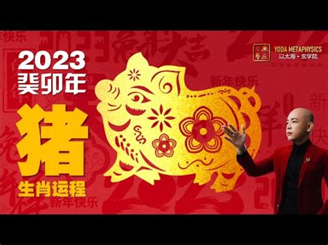 2023屬豬幸運物|【屬豬2023生肖運勢】運勢風生水起，有閃婚可能｜ 